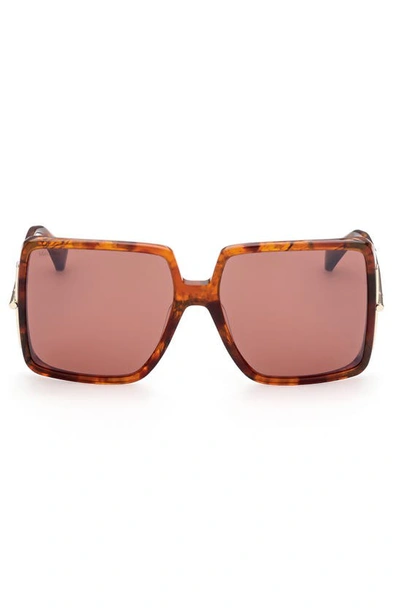 Shop Max Mara 58mm Square Sunglasses In Red Havana / Brown