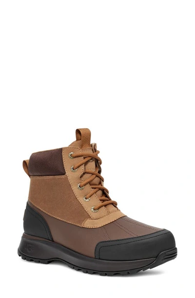 Shop Ugg Emmett Waterproof Snow Boot In Chestnut