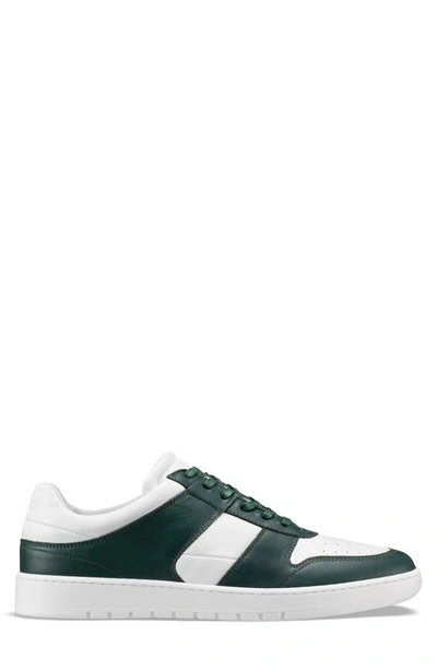 Shop Koio Aventino Sneaker In Ivy