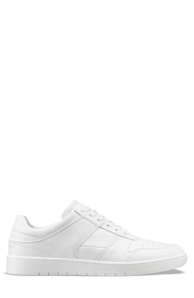 Shop Koio Aventino Sneaker In Triple White