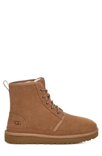 Shop Ugg Neumel Water Resistant High Top Chukka Boot In Chestnut