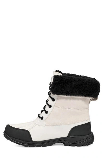 Shop Ugg Butte Waterproof Boot In White / Black