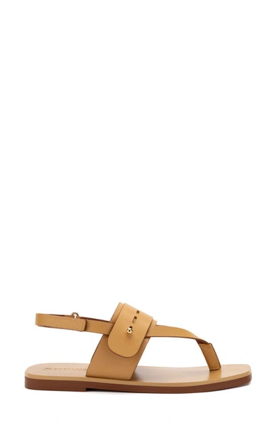 Shop Mercedes Castillo Adria Slingback Sandal In Affogato
