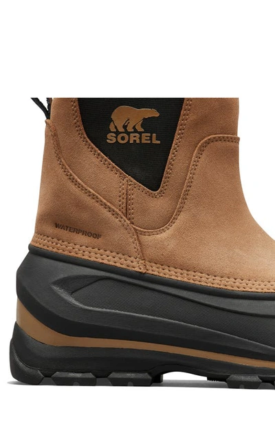 Shop Sorel Buxton Pull-on Snow Boot In Delta/ Black