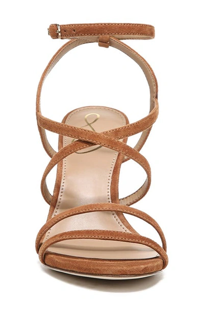 Shop Sam Edelman Delanie Strappy Sandal In Frontier Brown