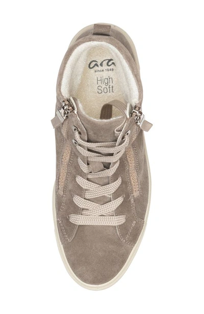 Ara Camden High Top Sneaker In Moon