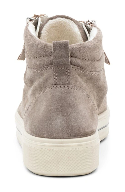 Ara Camden High Top Sneaker In Moon