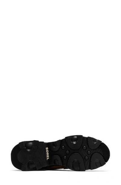 Shop Sorel Brex™ Lace-up Waterproof Bootie In Tawny Buff Black