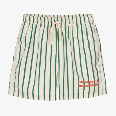 Shop The Animals Observatory Teen Boys Ivory & Green Striped Swim Shorts