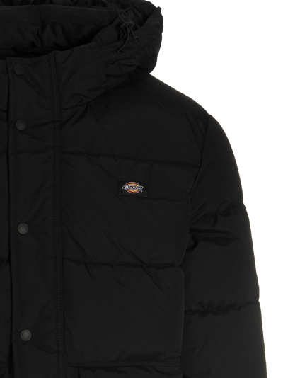 Shop Dickies Glacier Down Jacket In Black