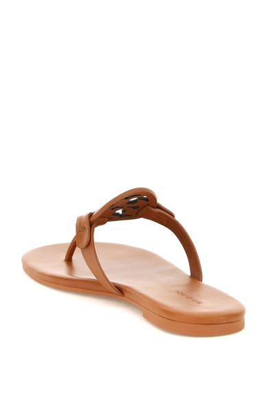 Tory Burch Miller Flat Thong Sandals In Brown | ModeSens
