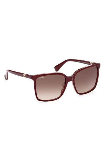 Shop Max Mara 57mm Gradient Square Sunglasses In Shiny Bordeaux/ Grad Bordeaux
