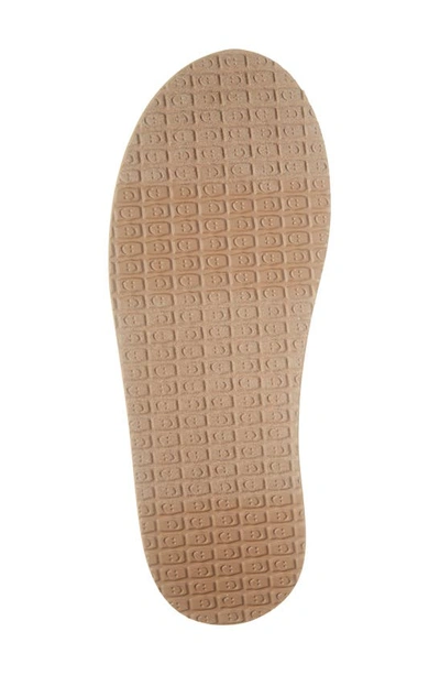 Sanuk Donna Slip-on Sneaker In Green
