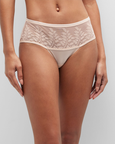 Shop Natori Frame Embroidered Mesh-inset Briefs In Cameo Rose Combo