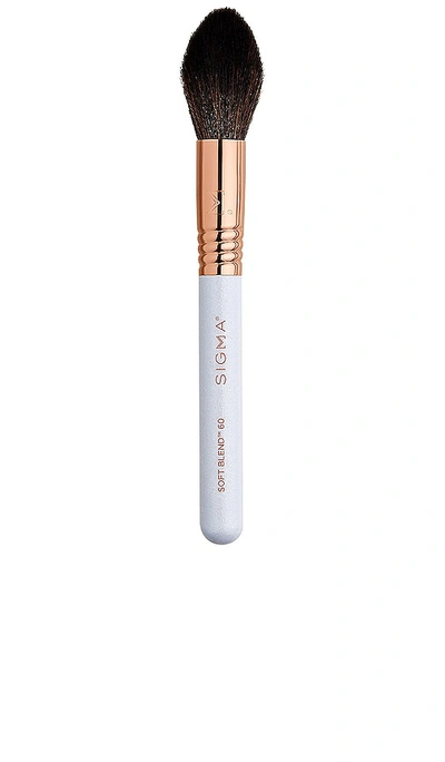 Sigma Beauty Glisten + Glow Cheek Duo In N,a