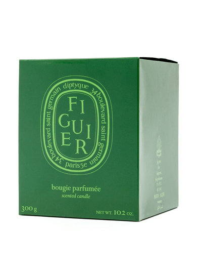 Shop Diptyque Figuier Scented Candle In Green