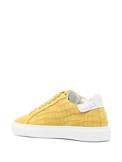 Shop Hide & Jack Crocodile-effect Lace-up Sneakers In Yellow