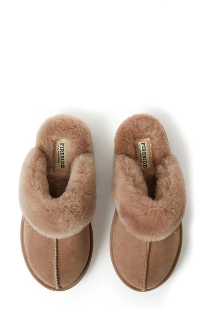 Shop Fireside By Dearfoams Sydney Water Resistant Genuine Shearling Scuff Slipper In Driftwood