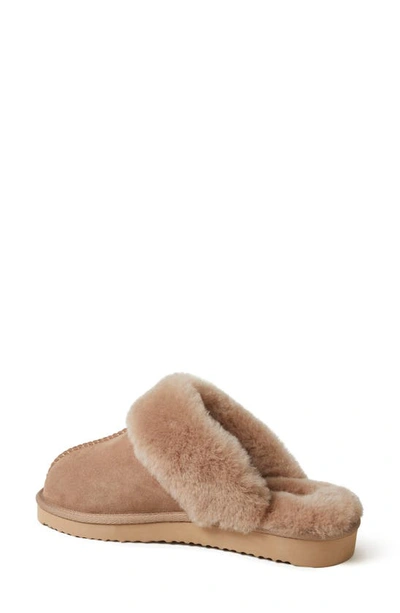 Shop Fireside By Dearfoams Sydney Water Resistant Genuine Shearling Scuff Slipper In Driftwood