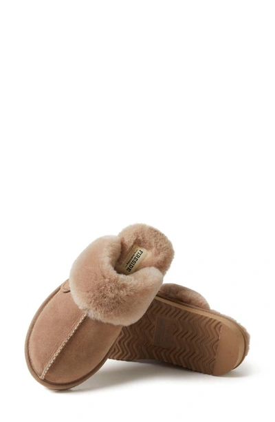 Shop Fireside By Dearfoams Sydney Water Resistant Genuine Shearling Scuff Slipper In Driftwood