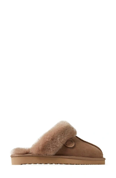 Shop Fireside By Dearfoams Sydney Water Resistant Genuine Shearling Scuff Slipper In Driftwood