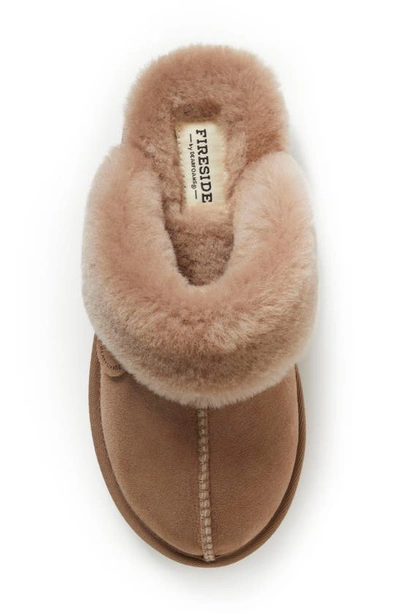 Shop Fireside By Dearfoams Sydney Water Resistant Genuine Shearling Scuff Slipper In Driftwood