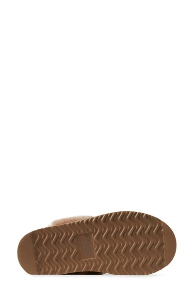 Shop Fireside By Dearfoams Sydney Water Resistant Genuine Shearling Scuff Slipper In Driftwood