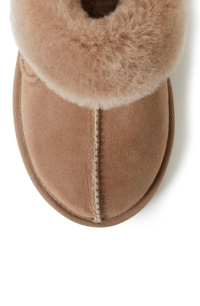 Shop Fireside By Dearfoams Sydney Water Resistant Genuine Shearling Scuff Slipper In Driftwood