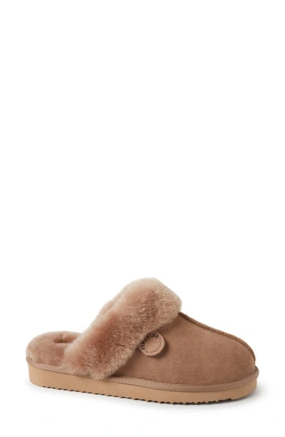 Fireside By Dearfoams Sydney Water Resistant Genuine Shearling Scuff Slipper In Driftwood
