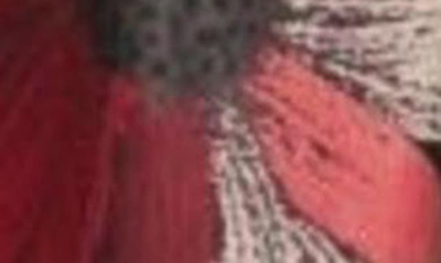 Saachi Floral Print Reversible Scarf In Red