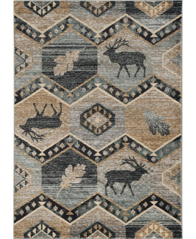 Shop Kas Chester 5637 9' X 12' Area Rug In Brown/gray