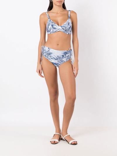 Shop Lygia & Nanny Palm-tree Print Bikini In Blue