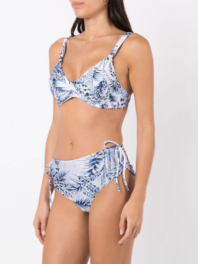 Shop Lygia & Nanny Palm-tree Print Bikini In Blue