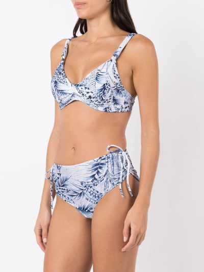 Lygia & Nanny Palm-tree Print Bikini In Blue