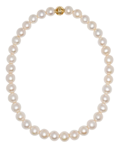 Shop Anine Bing 14kt Yellow Gold Classic Pearl Choker Necklace