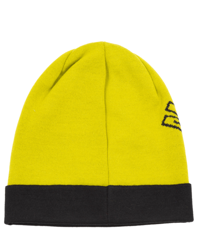 Moschino Teddy Bear Wool Beanie In Green