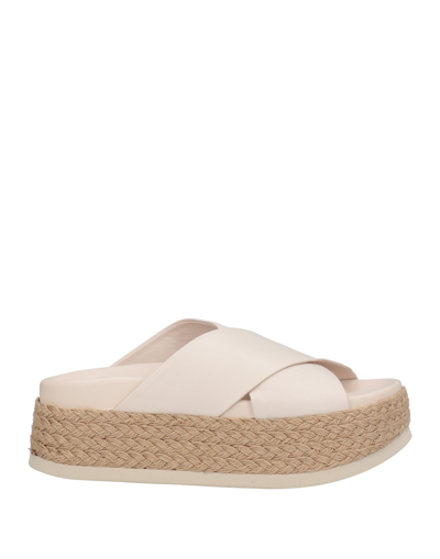 Shop Eqüitare Equitare Woman Espadrilles Blush Size 10 Soft Leather In Pink