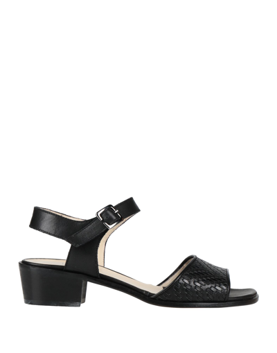 Shop Renascentia Firenze Woman Sandals Black Size 6 Calfskin