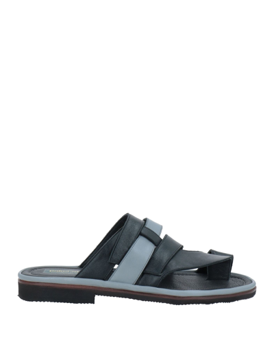 Shop Pakerson Toe Strap Sandals In Black