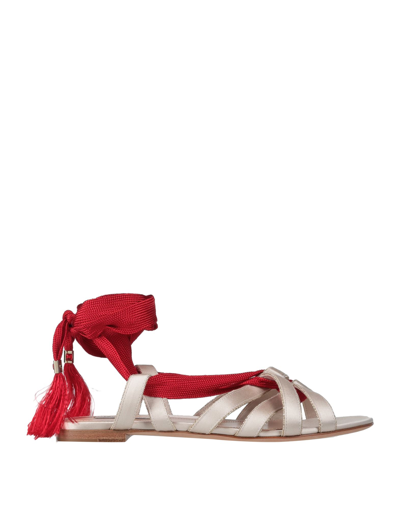 Shop Giorgio Armani Woman Sandals Light Pink Size 5 Textile Fibers