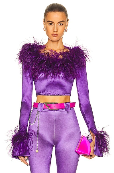 Shop Raisa Vanessa Feather Corset Top In Purple