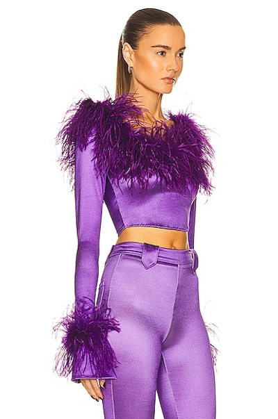 Shop Raisa Vanessa Feather Corset Top In Purple