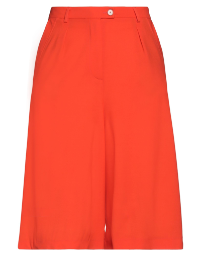 Shop Alysi Woman Cropped Pants Orange Size 8 Virgin Wool, Lycra