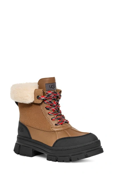 Shop Ugg Ashton Addie Waterproof Boot In Chestnut