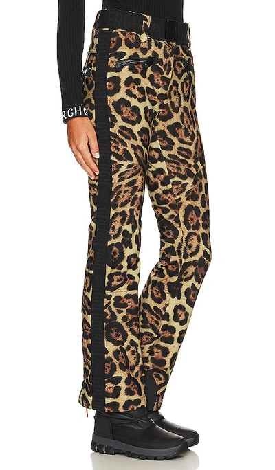 Shop Goldbergh Jaguar Ski Pant