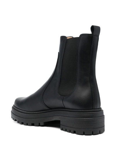 Shop Tila March Sasha Leather Chelsea Boots In Black