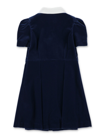 Shop Gucci Velvet Dress In Royal Blue