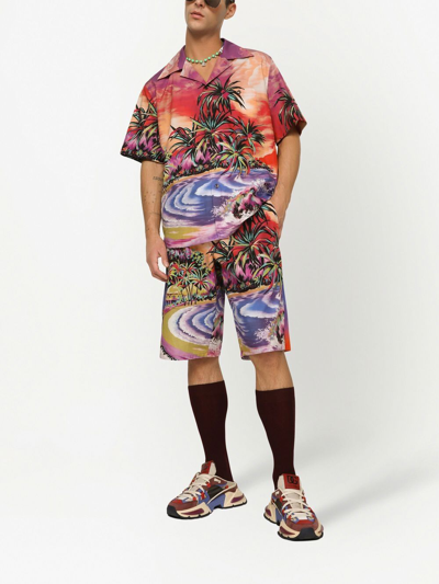 Dolce & Gabbana Bermuda Shorts With Hawaii Print In Multi