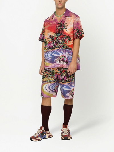Dolce & Gabbana Bermuda Shorts With Hawaii Print In Multi