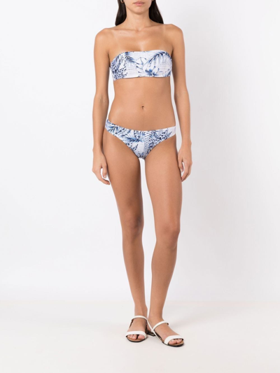 Shop Lygia & Nanny Palm-tree Print Bikini Top In Blue